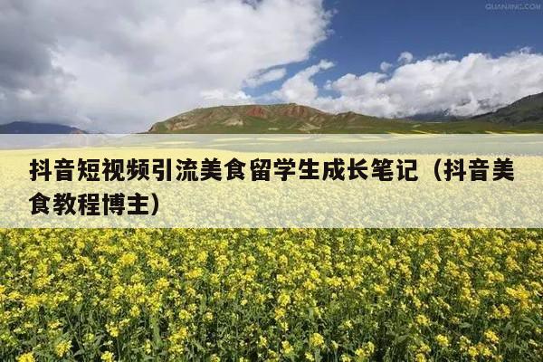 抖音短视频引流美食留学生成长笔记(抖音美食教程博主)