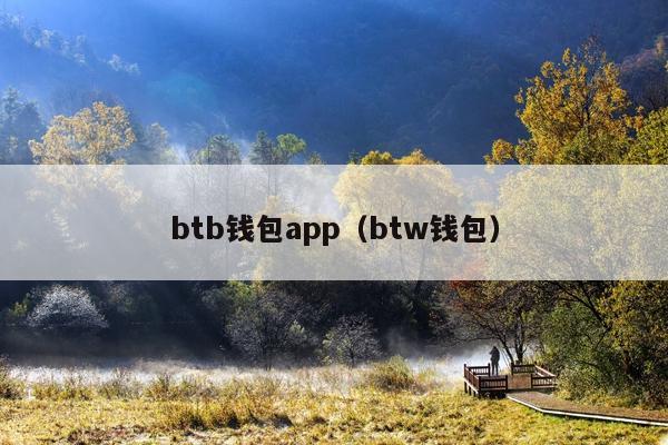 btb钱包app(btw钱包)