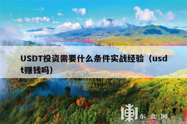USDT投资需要什么条件实战经验(usdt赚钱吗)