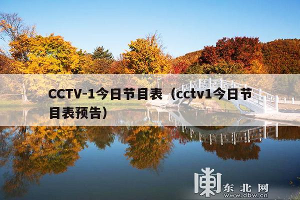 CCTV-1今日节目表(cctv1今日节目表预告)