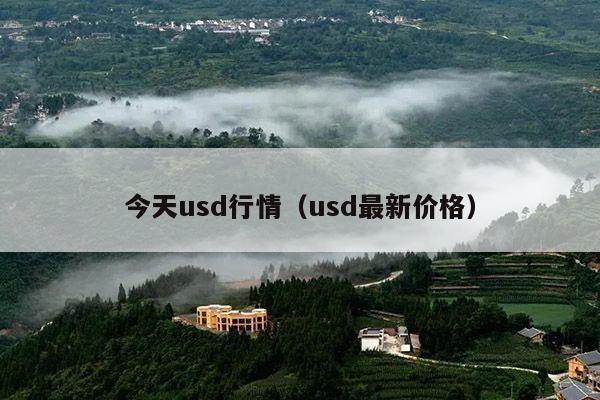 今天usd行情(usd最新价格)