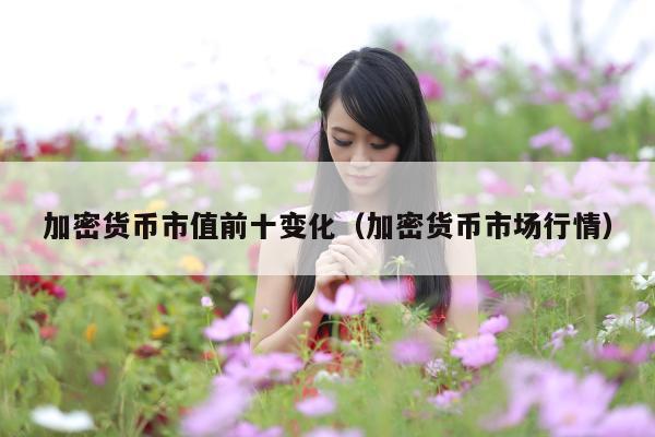 加密货币市值前十变化(加密货币市场行情)