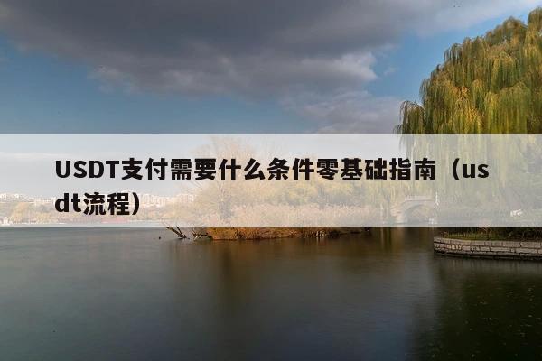 USDT支付需要什么条件零基础指南(usdt流程)