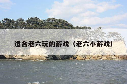 适合老六玩的游戏(老六小游戏)