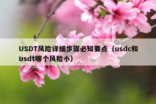 USDT风险详细步骤必知要点(usdc和usdt哪个风险小)