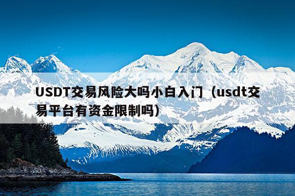 USDT交易风险大吗小白入门(usdt交易平台有资金限制吗)