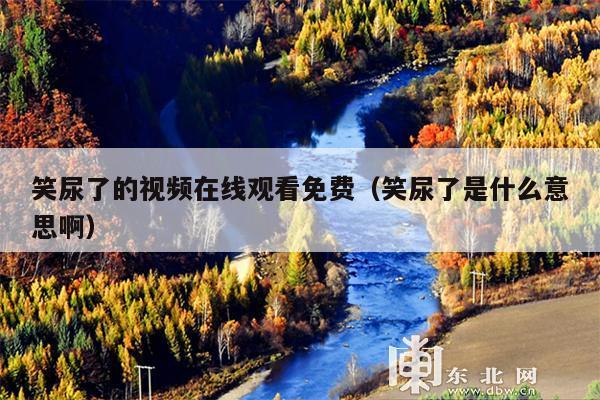 笑尿了的视频在线观看免费(笑尿了是什么意思啊)