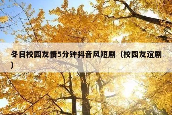 冬日校园友情5分钟抖音风短剧(校园友谊剧)