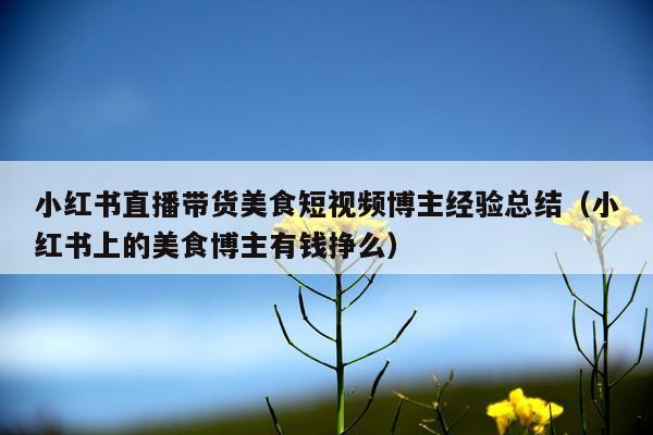 小红书直播带货美食短视频博主经验总结(小红书上的美食博主有钱挣么)