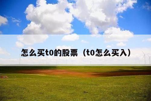 怎么买t0的股票(t0怎么买入)