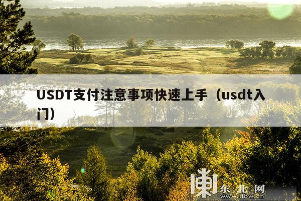 USDT支付注意事项快速上手(usdt入门)