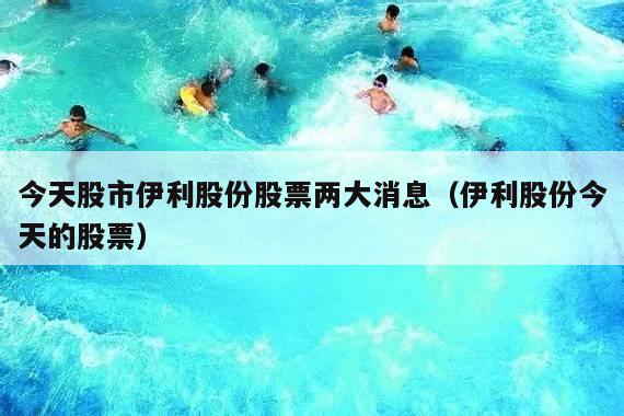 今天股市伊利股份股票两大消息(伊利股份今天的股票)