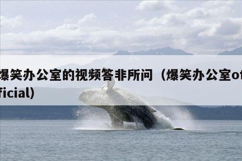 爆笑办公室的视频答非所问(爆笑办公室official)