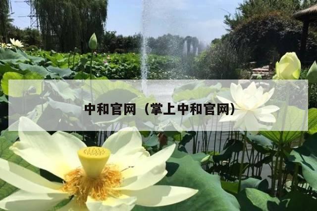 中和官网(掌上中和官网)