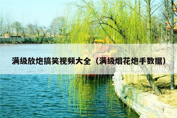 满级放炮搞笑视频大全(满级烟花炮手数据)