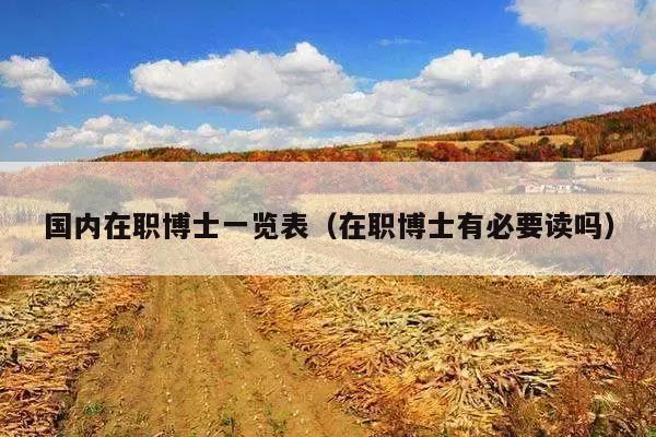 国内在职博士一览表(在职博士有必要读吗)