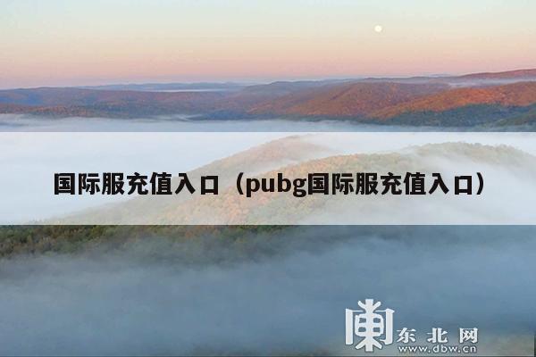 国际服充值入口(pubg国际服充值入口)