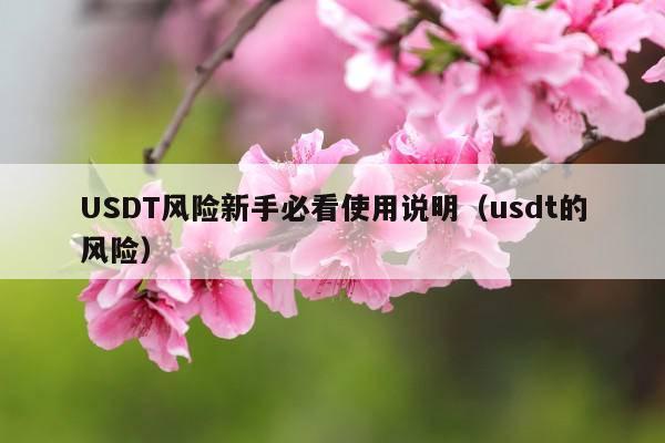 USDT风险新手必看使用说明(usdt的风险)