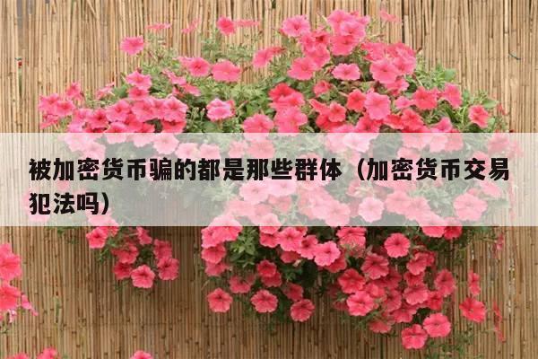 被加密货币骗的都是那些群体(加密货币交易犯法吗)