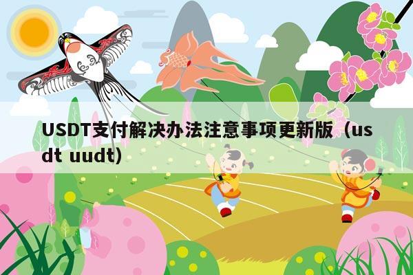 USDT支付解决办法注意事项更新版(usdt uudt)