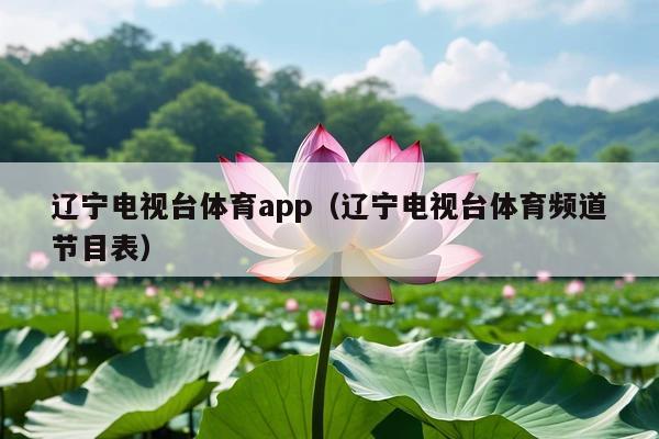 辽宁电视台体育app(辽宁电视台体育频道节目表)