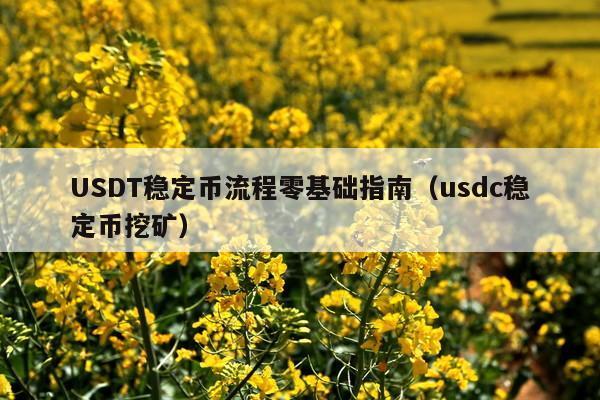 USDT稳定币流程零基础指南(usdc稳定币挖矿)