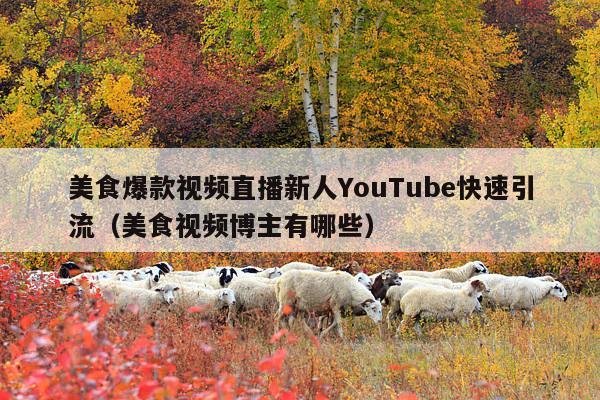 美食爆款视频直播新人YouTube快速引流(美食视频博主有哪些)