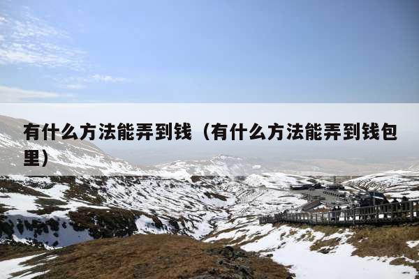 有什么方法能弄到钱(有什么方法能弄到钱包里)