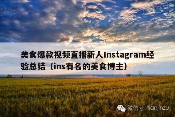 美食爆款视频直播新人Instagram经验总结(ins有名的美食博主)