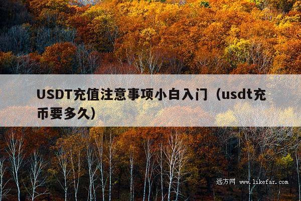 USDT充值注意事项小白入门(usdt充币要多久)