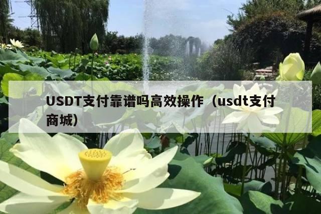 USDT支付靠谱吗高效操作(usdt支付商城)