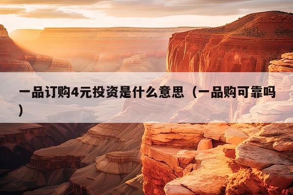一品订购4元投资是什么意思(一品购可靠吗)