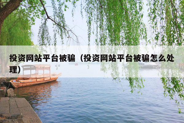 投资网站平台被骗(投资网站平台被骗怎么处理)