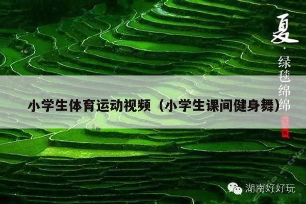 小学生体育运动视频(小学生课间健身舞)