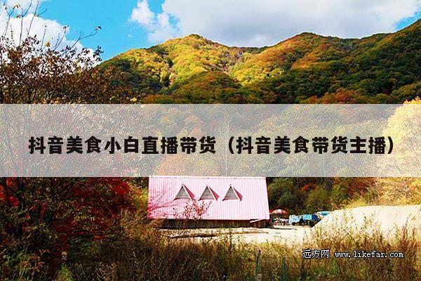 抖音美食小白直播带货(抖音美食带货主播)