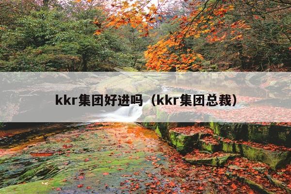 kkr集团好进吗(kkr集团总裁)
