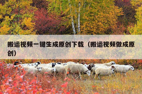 搬运视频一键生成原创下载(搬运视频做成原创)