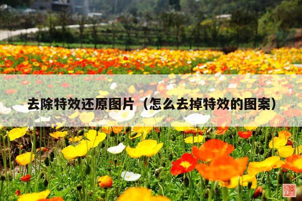 去除特效还原图片(怎么去掉特效的图案)