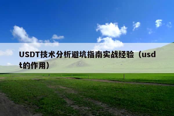 USDT技术分析避坑指南实战经验(usdt的作用)