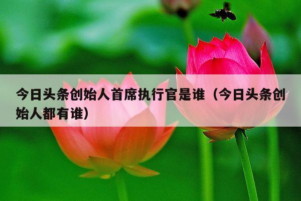 今日头条创始人首席执行官是谁(今日头条创始人都有谁)