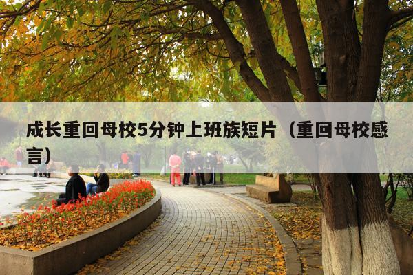 成长重回母校5分钟上班族短片(重回母校感言)