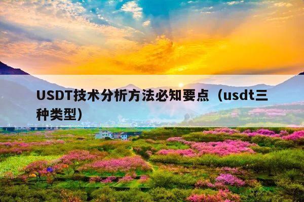 USDT技术分析方法必知要点(usdt三种类型)
