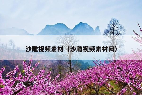 沙雕视频素材(沙雕视频素材网)