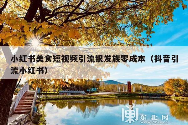 小红书美食短视频引流银发族零成本(抖音引流小红书)