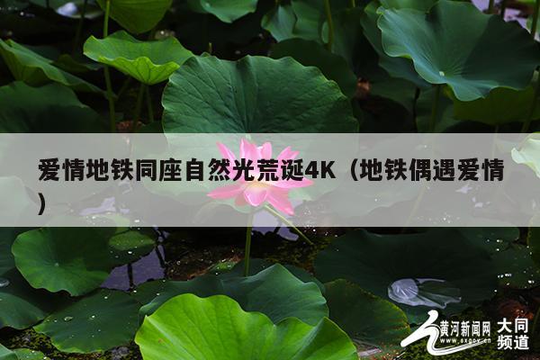 爱情地铁同座自然光荒诞4K(地铁偶遇爱情)
