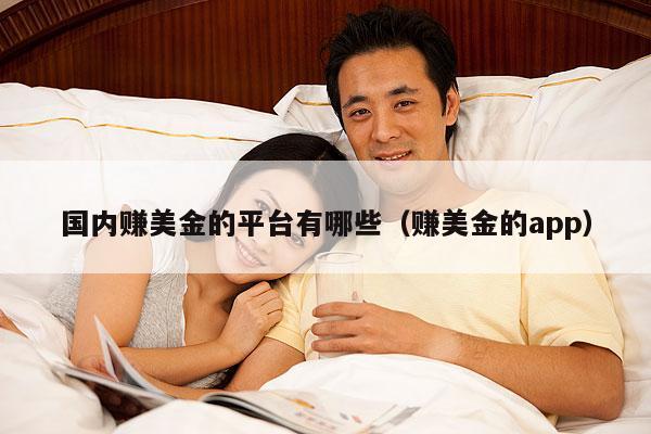 国内赚美金的平台有哪些(赚美金的app)