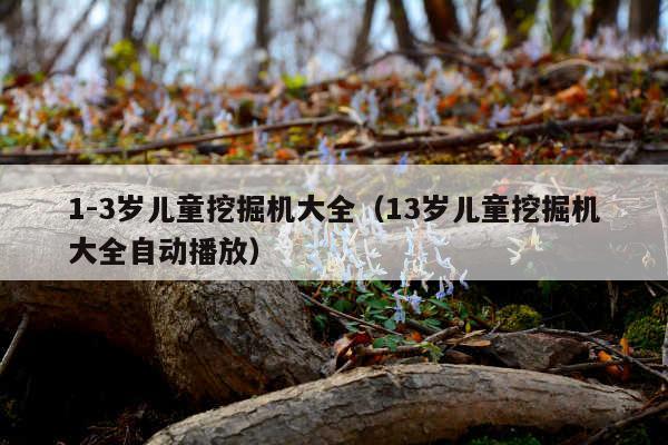 1-3岁儿童挖掘机大全(13岁儿童挖掘机大全自动播放)