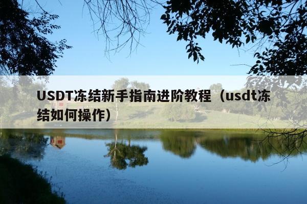 USDT冻结新手指南进阶教程(usdt冻结如何操作)
