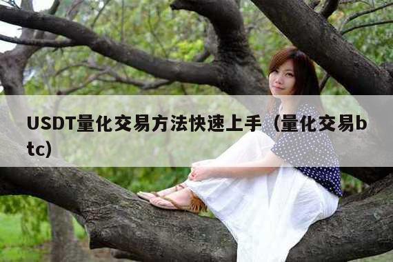 USDT量化交易方法快速上手(量化交易btc)