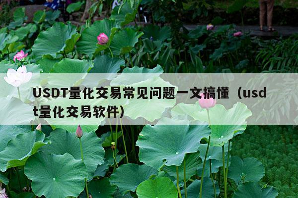 USDT量化交易常见问题一文搞懂(usdt量化交易软件)